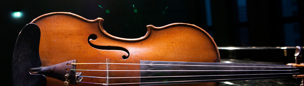 Bild Violine