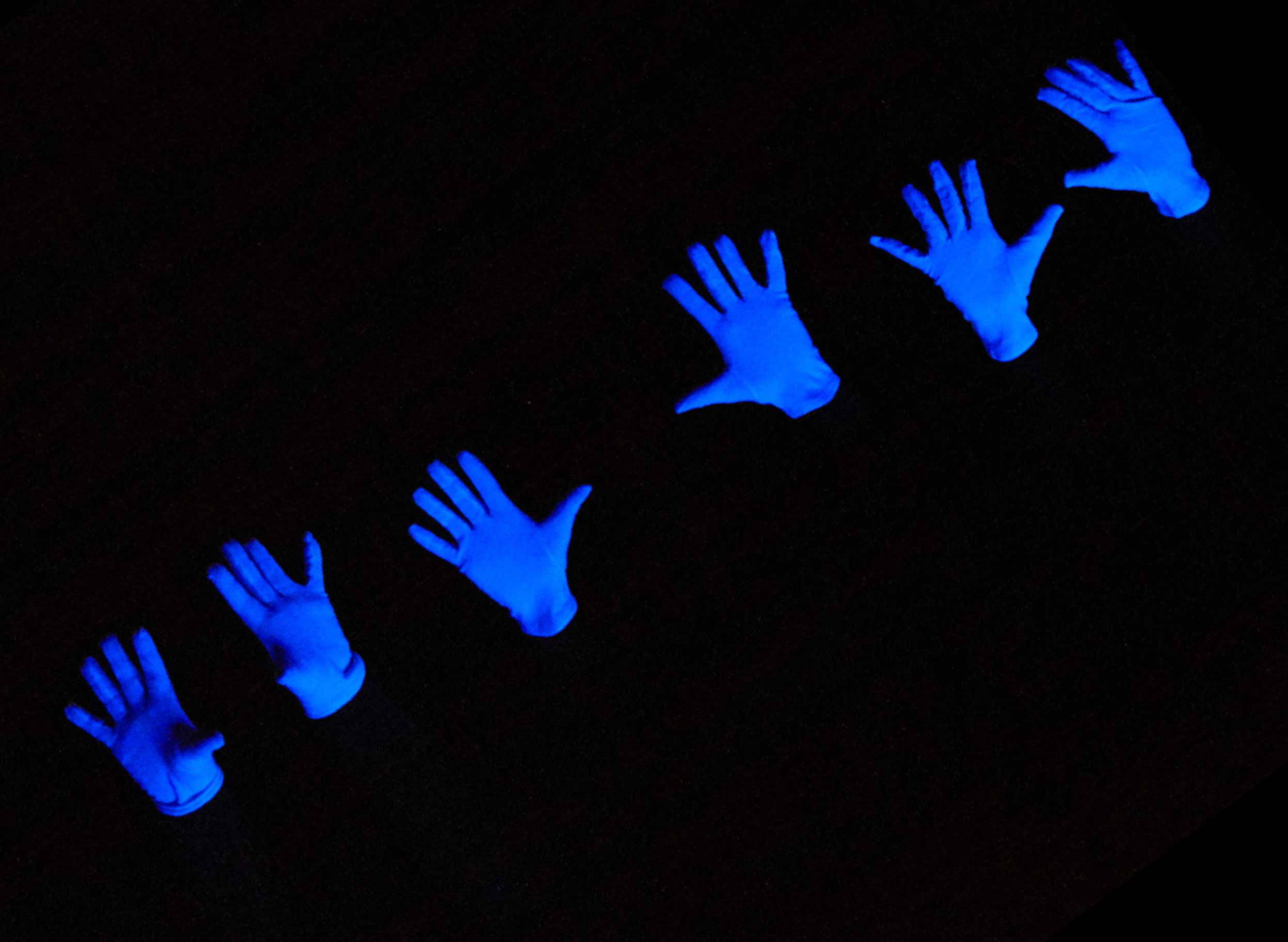 Studienfach Elementare Musikp dagogik