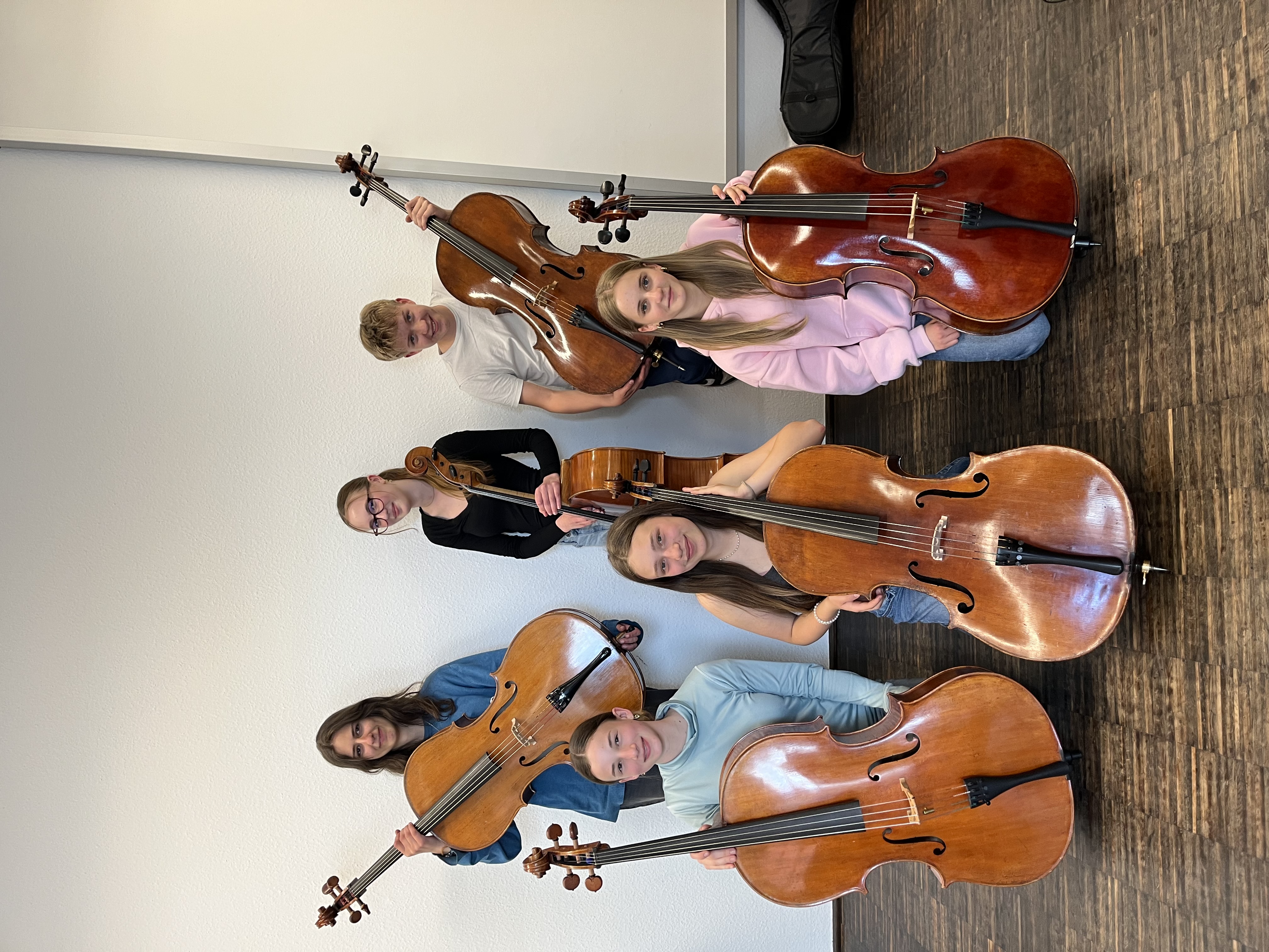 Bild Celloensemble
